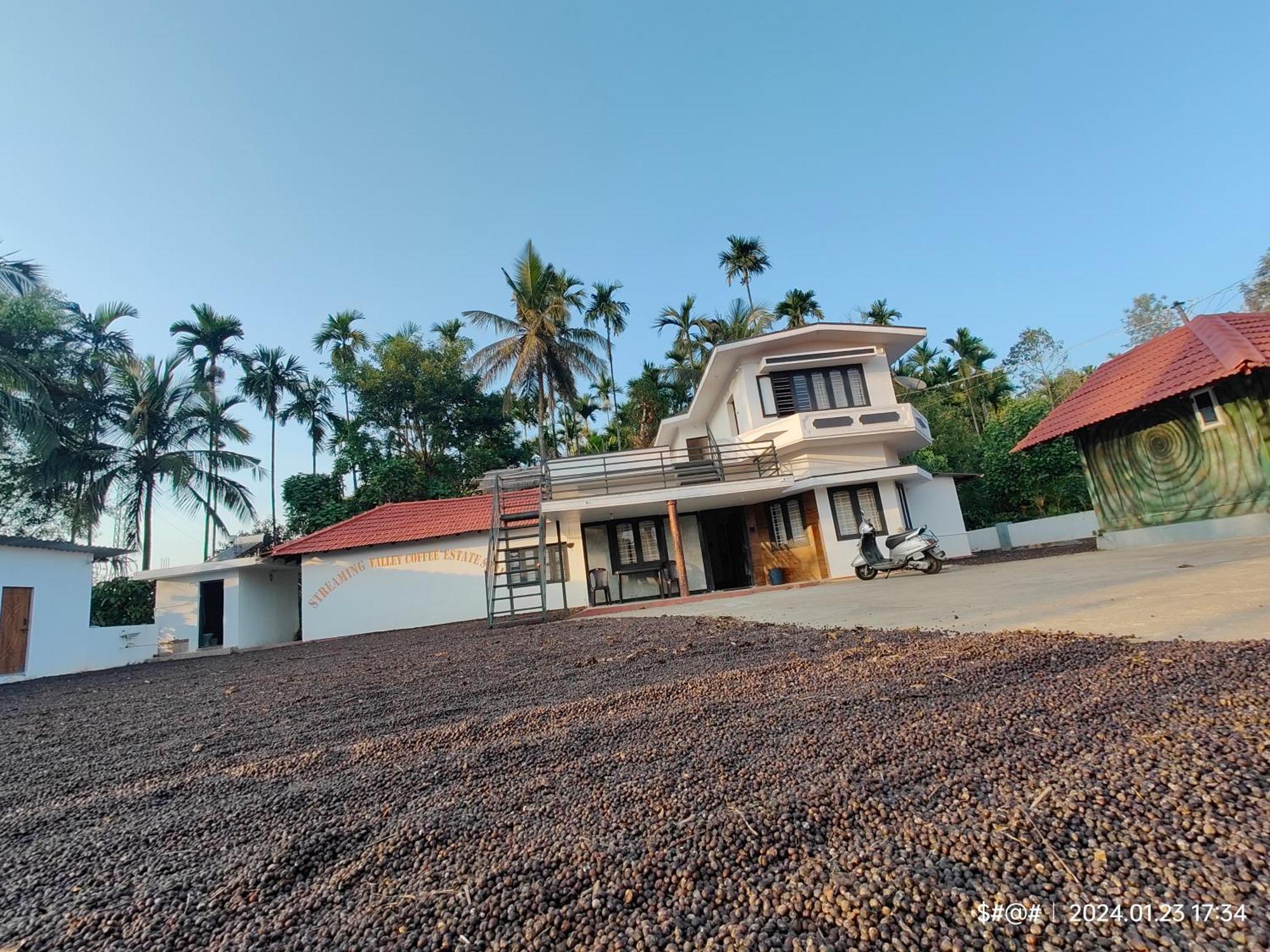 Streaming Valley Independent Coffee Estate Stay Madikeri Exterior photo