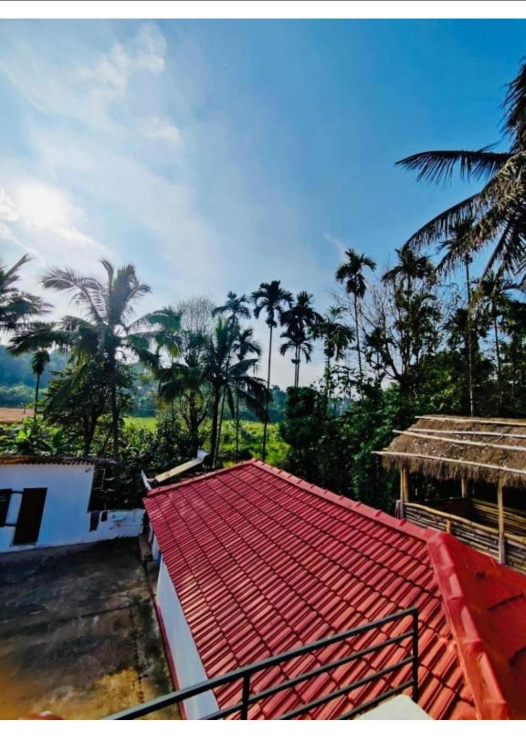 Streaming Valley Independent Coffee Estate Stay Madikeri Exterior photo