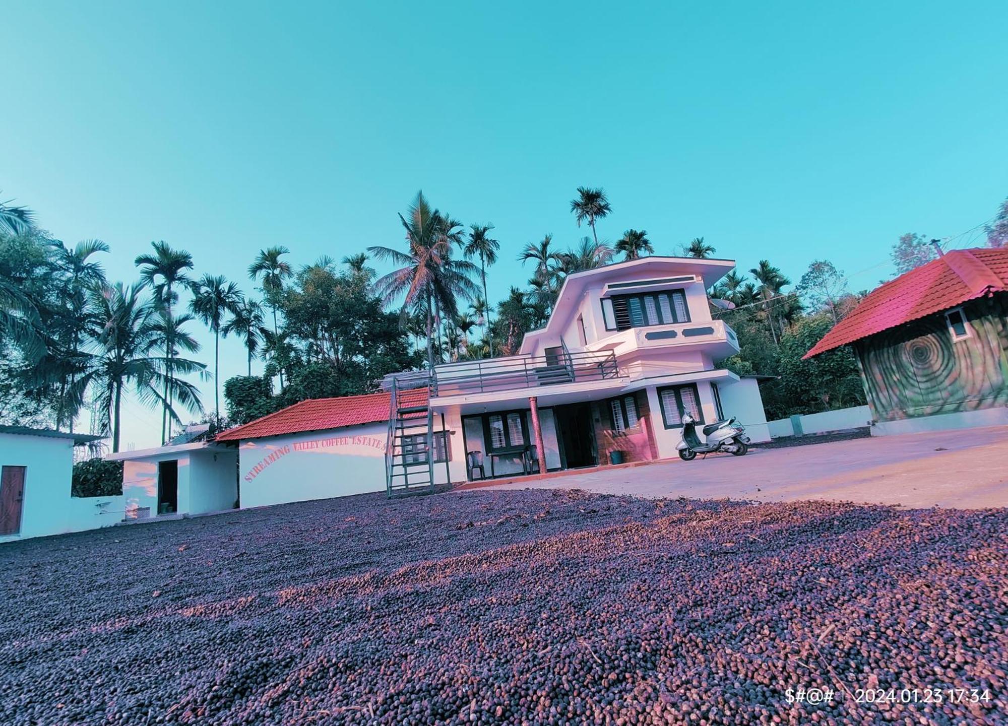 Streaming Valley Independent Coffee Estate Stay Madikeri Exterior photo